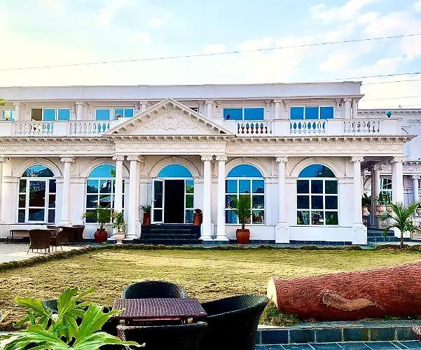 Dream Palace
